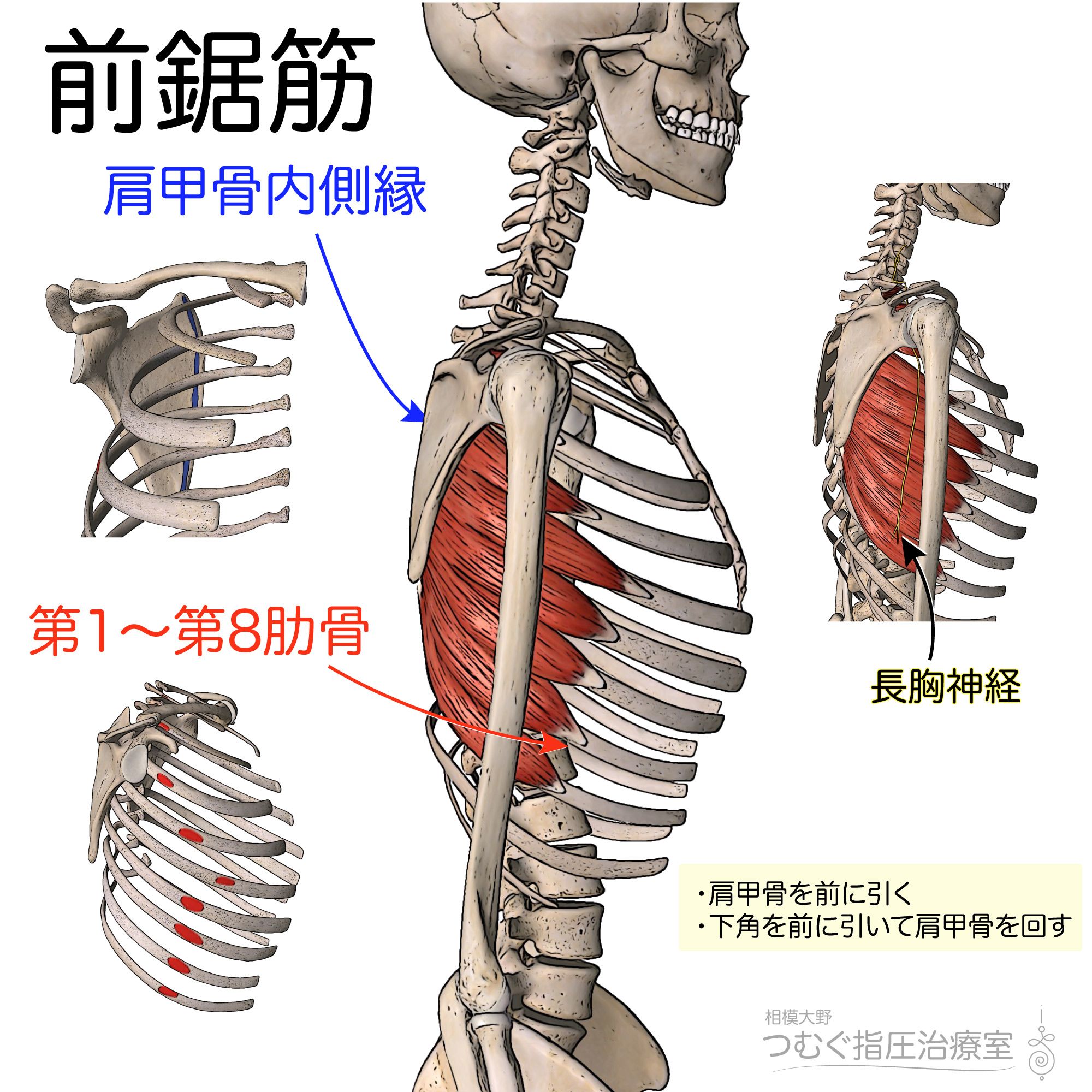 活動歴および当時の関連ビジュアル記録